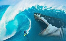 Chuyên gia: Đây là thời điểm chuẩn bị đón "sóng" năm 2026, 3 nhóm cổ phiếu sẽ hút tiền mạnh