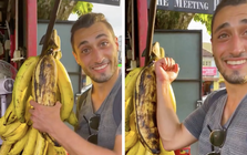 Quả chuối nặng tận 6kg, 4 người mới ăn hết: Nhìn thân cây còn choáng hơn