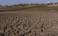 Nông nghiệp toàn cầu thiệt hại nặng vì thiên tai