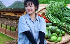 Cặp vợ chồng chi 3 tỷ xây nhà như cổ tích trên vùng núi Tuyên Quang: View triệu đô, 0 đồng rau củ