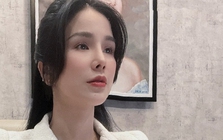 Diệp Lâm Anh xin lỗi