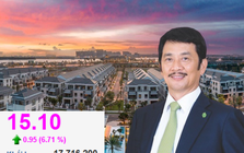 Novaland làm sao thế?