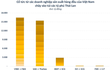 Các tỷ phú Thái Lan “bỏ túi” hơn 35.000 tỷ đồng cổ tức từ Vinamilk, Sabeco, Nhựa Bình Minh...