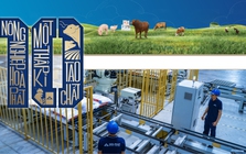 Nông nghiệp Hòa Phát: Chậm mà chắc như xe lu, xây vị thế top đầu