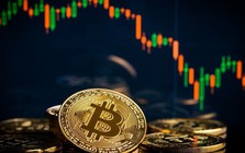 Trưa 18-11, nỗi sợ của giới đầu tư Bitcoin đã thành hiện thực