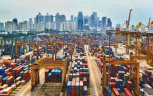 Kim ngạch xuất nhập khẩu Việt Nam-Singapore tăng kỷ lục