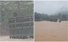 Clip tài xế gọi điện thoại trước khi bị nước lũ cuốn trôi: Cả 100 người vẫn tích cực tìm kiếm