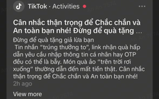 TikTok gửi cảnh báo lừa đảo trực tuyến trực tiếp trong ứng dụng