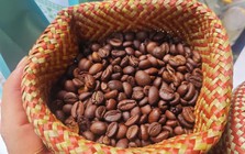 Nông sản tăng tốc, nhiều mặt hàng lập kỷ lục mới