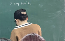 Nếu bạn nghĩ "trình" tiếng Việt của mình đã đỉnh, xem xong bài tập dưới đây chắc chắn sẽ phải nghĩ lại!