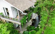 Nhà dưới tán rừng của Ecopark: Xóa nhòa ranh giới giữa tiện nghi và sinh thái