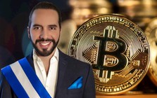 Đi ngược tâm lý sợ hãi của toàn thị trường, Tổng thống El Salvador vừa ‘khoe’ bắt đáy thành công 1.098 Bitcoin