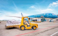 Lãi kỷ lục trong quý 3, một doanh nghiệp trên HOSE muốn nâng kế hoạch kinh doanh, sắp trả cổ tức tiền mặt 80%