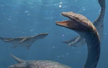 Trung Quốc: Quái vật cổ dài 42 đốt xuất hiện gần Lệ Giang cổ trấn