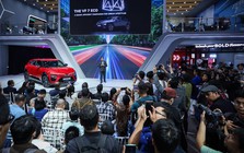 VinFast của ông Phạm Nhật Vượng đang làm ăn thế nào tại thị trường ô tô lớn nhất Đông Nam Á?