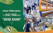 Hành trình Miza: Từ "Rác thải" đến "Vàng xanh" viết lại định mệnh ngành giấy Việt Nam