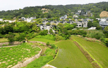 4 cặp vợ chồng rủ nhau về quê, xây nhà ở chung tuổi già, chưa được 6 tháng đã cãi nhau: "Tôi suýt mất cả chồng con”