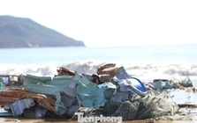 Bãi biển Quy Nhơn ngập rác sau bão số 13