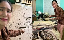 Hãi hùng cảnh tượng nhà sao Vbiz tan hoang, đầy bùn đất sau khi cơn bão 13 càn quét qua