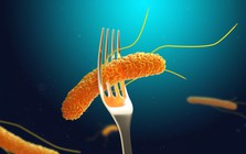 5 loại vi khuẩn đáng sợ trên đôi tay: Top 1 là thủ phạm gây ra hơn 90 triệu ca ngộ độc mỗi năm