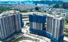 Tin vui cho hàng nghìn người dân tại Quảng Ninh