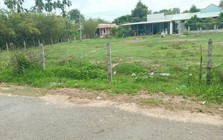 Bộ Nông nghiệp và Môi trường trả lời thắc mắc về hợp thửa đất