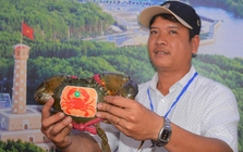 Sắp diễn ra ngày hội cua, cua biển Cà Mau tăng giá mạnh