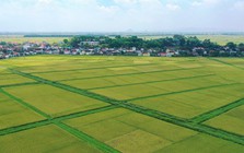 Đối tượng nào được miễn thuế sử dụng đất nông nghiệp đến hết năm 2030?