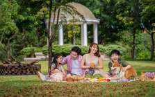 Solaria Rise - lựa chọn của thế hệ "dịch chuyển để sống tốt hơn"