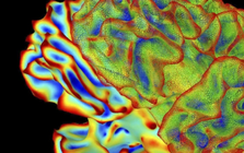 Công nghệ đột phá: Trí tuệ nhân tạo đọc được suy nghĩ con người