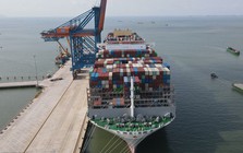 Việt Nam sẽ có bến cảng khách quốc tế, đủ khả năng tiếp nhận tàu du lịch trọng tải lớn nhất thế giới