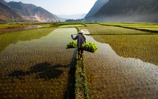 Nói "Việt Nam nuôi cả thế giới" không phải là cường điệu