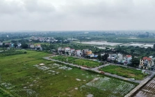 Kéo dài miễn thuế sử dụng đất nông nghiệp thêm 5 năm