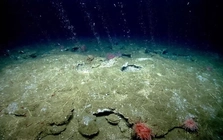 Phát hiện 40 'lỗ thở' bất thường dưới đáy biển Nam Cực, chuyên gia nói: Trái Đất có thể lâm nguy