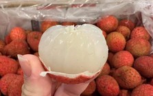 Vải thiều Úc giá gần 5 triệu/thùng 5 kg ở Việt Nam