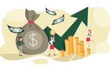 Chơi lớn: Một doanh nghiệp trả cổ tức tiền mặt tỷ lệ 166,66%