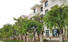 Tin vui cho người mua bán bất động sản và cho thuê nhà