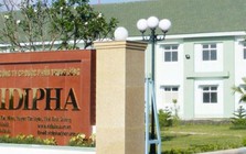 Vidipha bị phạt, truy thu hơn 10 tỷ đồng tiền thuế