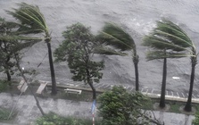 Người dân khu vực này đặc biệt lưu ý: Chỉ ít giờ tới, nguy cơ gió mạnh và mưa dông rất cao