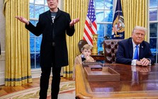 Elon Musk thừa nhận: Nếu có thể quay lại, tôi sẽ không tham gia DOGE