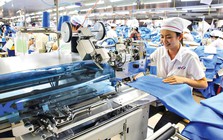 Biểu thuế thu nhập cá nhân giảm còn 5 bậc, ai hưởng lợi?