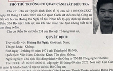 Bộ Công an truy nã đặc biệt Hoàng Bá Nghị, Chủ tịch Công ty NhoNho
