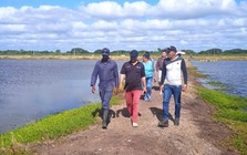 Hơn 120 ngày thử nghiệm, 'sản vật tỷ USD' của Việt Nam gây bất ngờ lớn tại Cuba