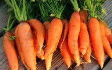 4 loại thực phẩm tích tụ cả kho vi nhựa, loại cuối cùng người Việt vẫn ăn hàng ngày