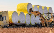 Mỹ chi hơn 16 tỷ USD mua 'mỏ vàng' thứ 3 thế giới của Việt Nam: Nước ta đã xuất sang 2/3 thế giới, 3 ông trùm thống trị toàn cầu đều đến từ châu Á