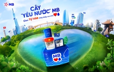 “Cây Yêu Nước” MB phủ xanh các chi nhánh MB: Gieo tự hào chảy khắp non sông