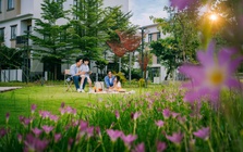 T&T City Millennia: 300m² cảnh quan, tiện ích/căn tại Đảo Tiện Ích Sinh Thái