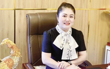 Nữ chủ tịch lừa có dự án trồng sâm Ngọc Linh để huy động gần 1.300 tỉ đồng