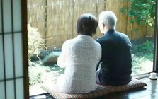 Đứa con hiếu thảo sẽ tranh thủ khi bố mẹ còn khỏe để làm 4 điều này!