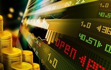 Hướng tới một thị trường vàng minh bạch, lành mạnh và tiệm cận chuẩn quốc tế